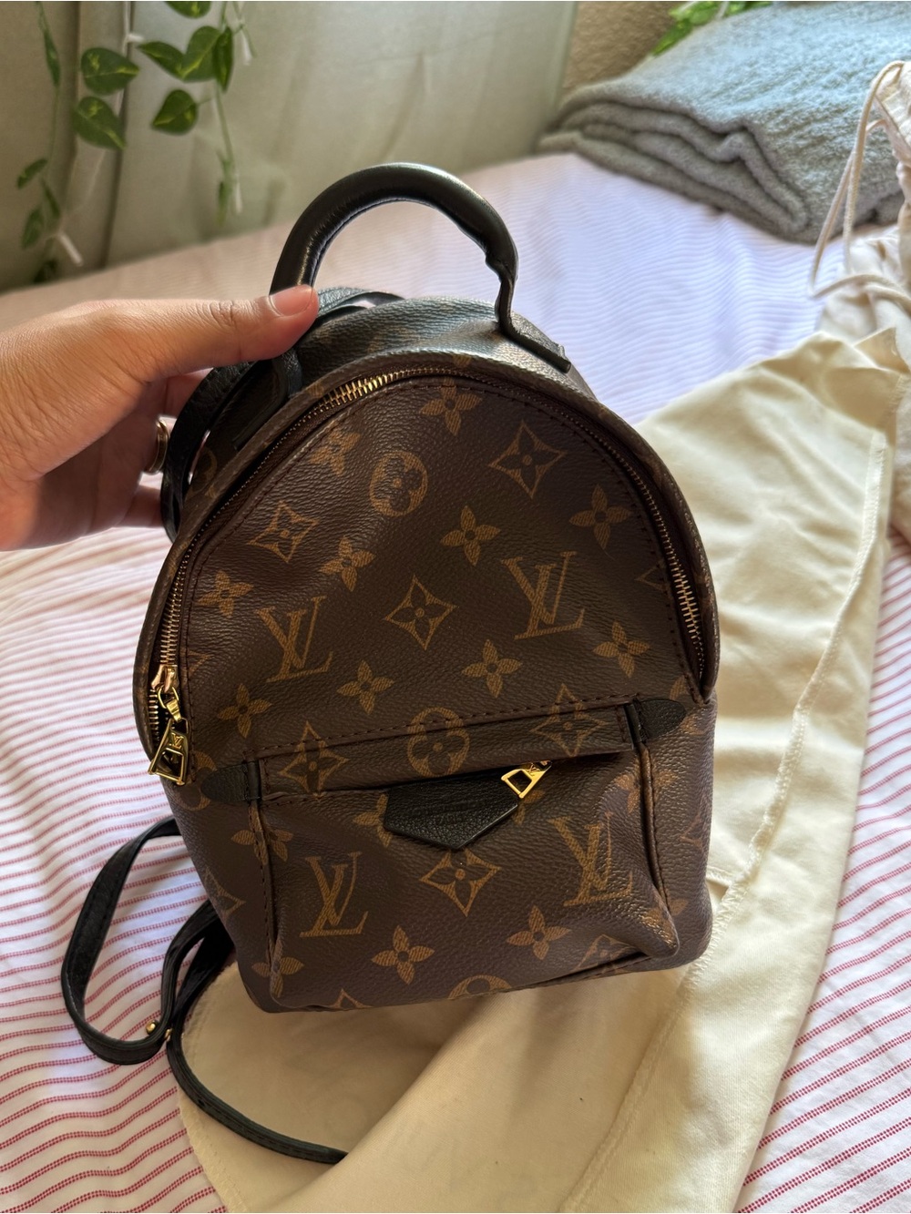 Louis Vuitton mini backpack